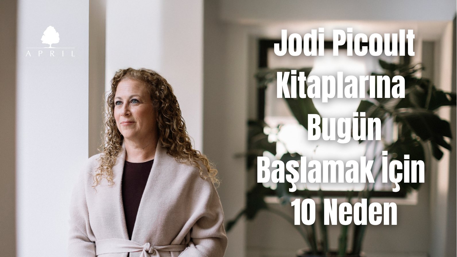 Jodi Picoult